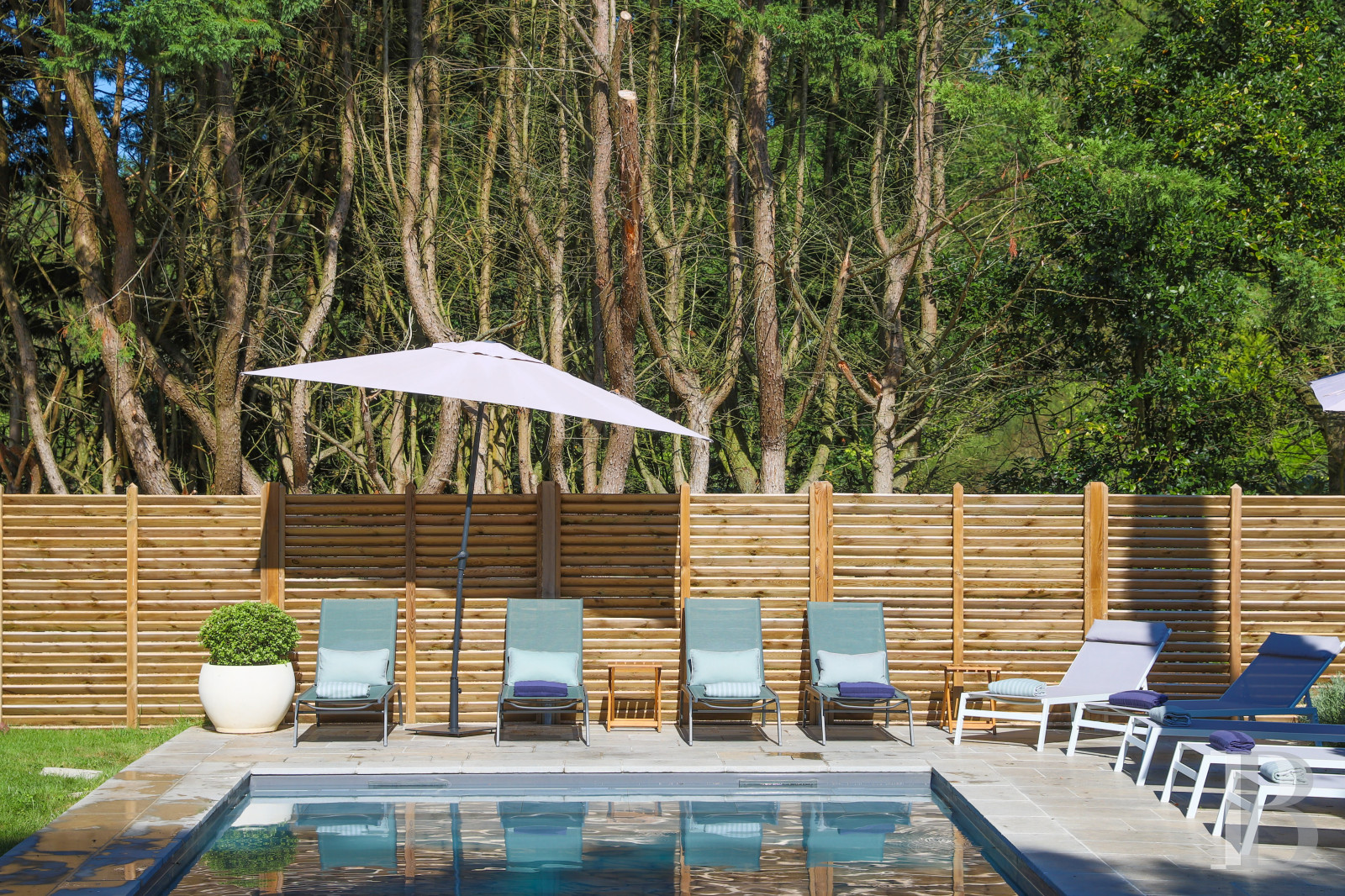 A former 19th-century wine estate south of Angers in Maine-et-Loire - photo  n°24